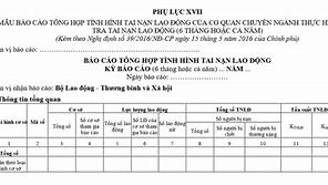 Báo Cáo Lao Động 6 Tháng Cuối Năm 2024