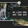 Đảo Khỉ Cần Giờ Có Gì Chơi