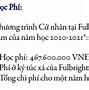 Học Phí Đại Học Fpt 1 Năm