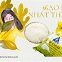 Loại Gạo Ngon Nhất Việt Nam