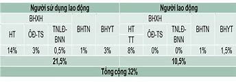 Người Lao Động Phải Đóng Bảo Hiểm Bao Nhiêu Năm