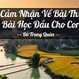 Nội Dung Bài Học Đầu Cho Con Đỗ Trung Quân