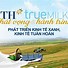 Sữa Th True Milk It Đường Có Tăng Cân Không