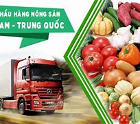 Xuất Khẩu Sắt Thép Sang Trung Quốc Cấm